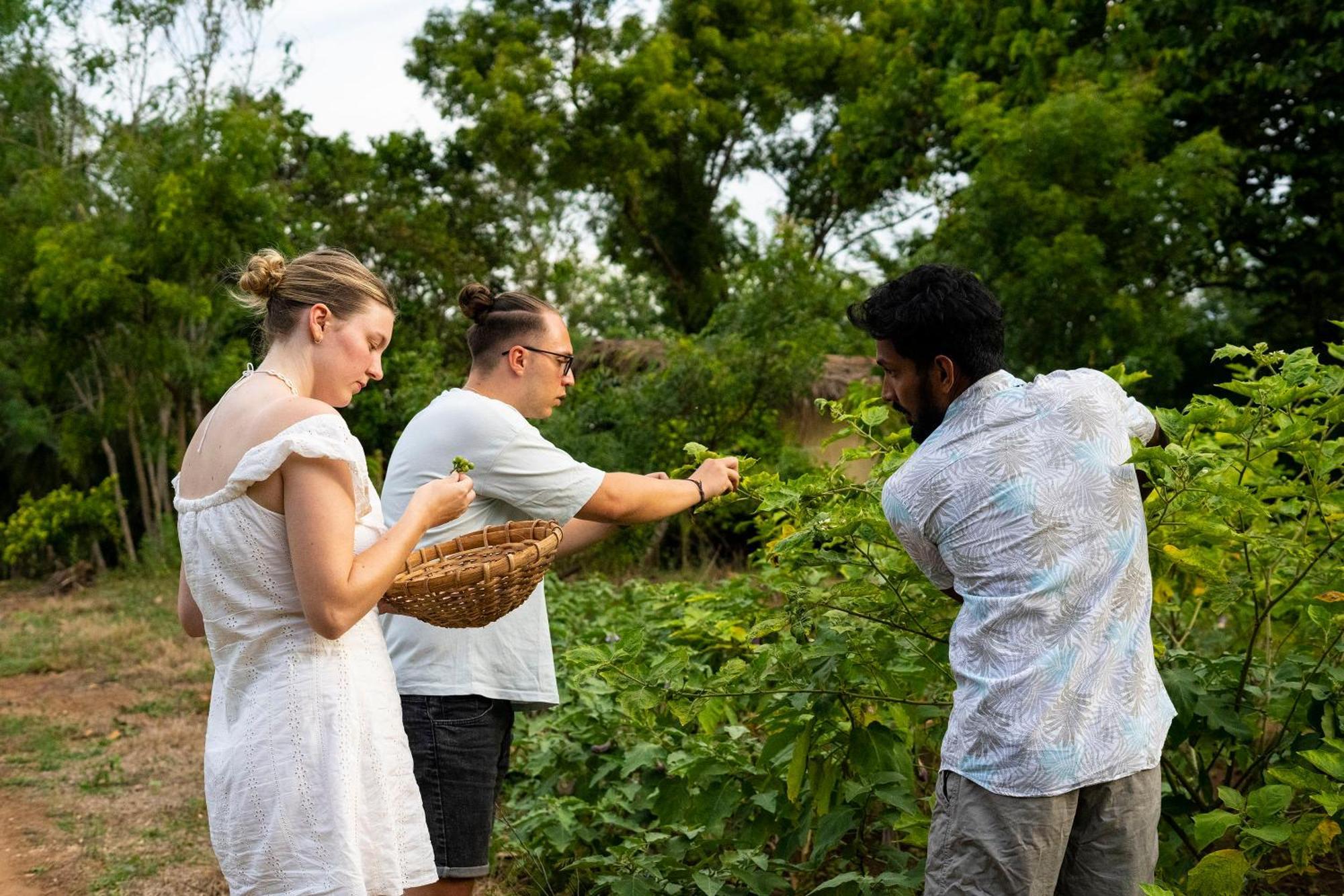 River Paradise Safari House With Cooking Class Udawalawe Exterior photo